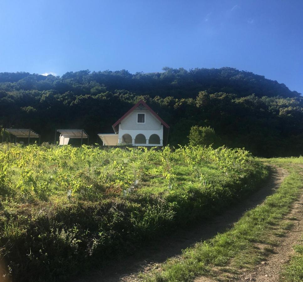 Chateau Segesdi Borapartman Gyulakeszi Exteriér fotografie