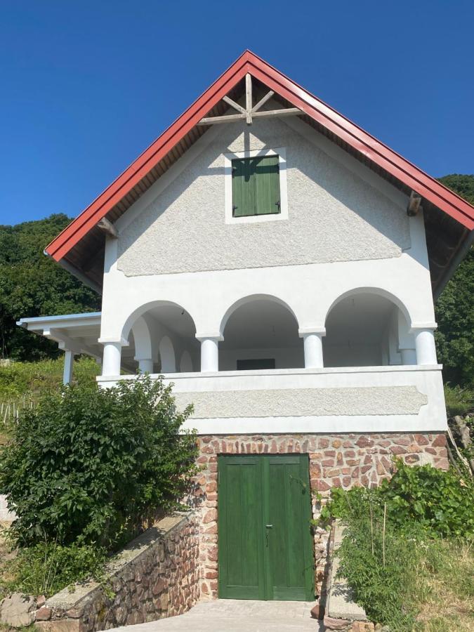 Chateau Segesdi Borapartman Gyulakeszi Exteriér fotografie